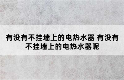 有没有不挂墙上的电热水器 有没有不挂墙上的电热水器呢